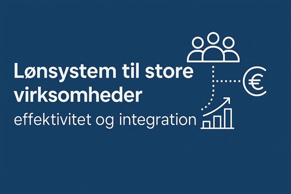 Lønsystem til store virksomheder - effektivitet og integration